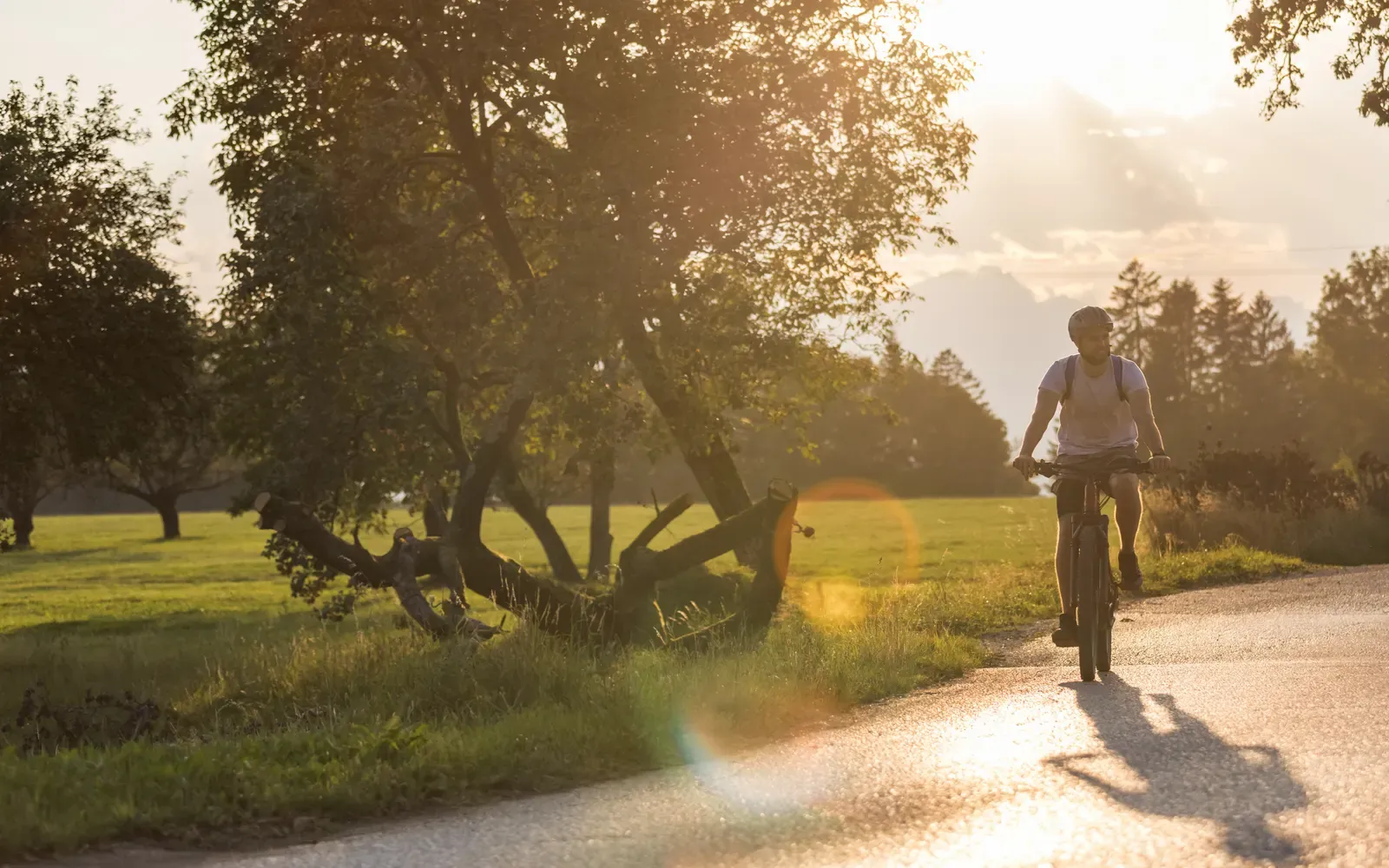 Pendlare på elcykel längs en svensk landsväg i morgonljus